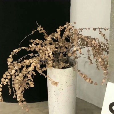 播州FurryQQ群介绍